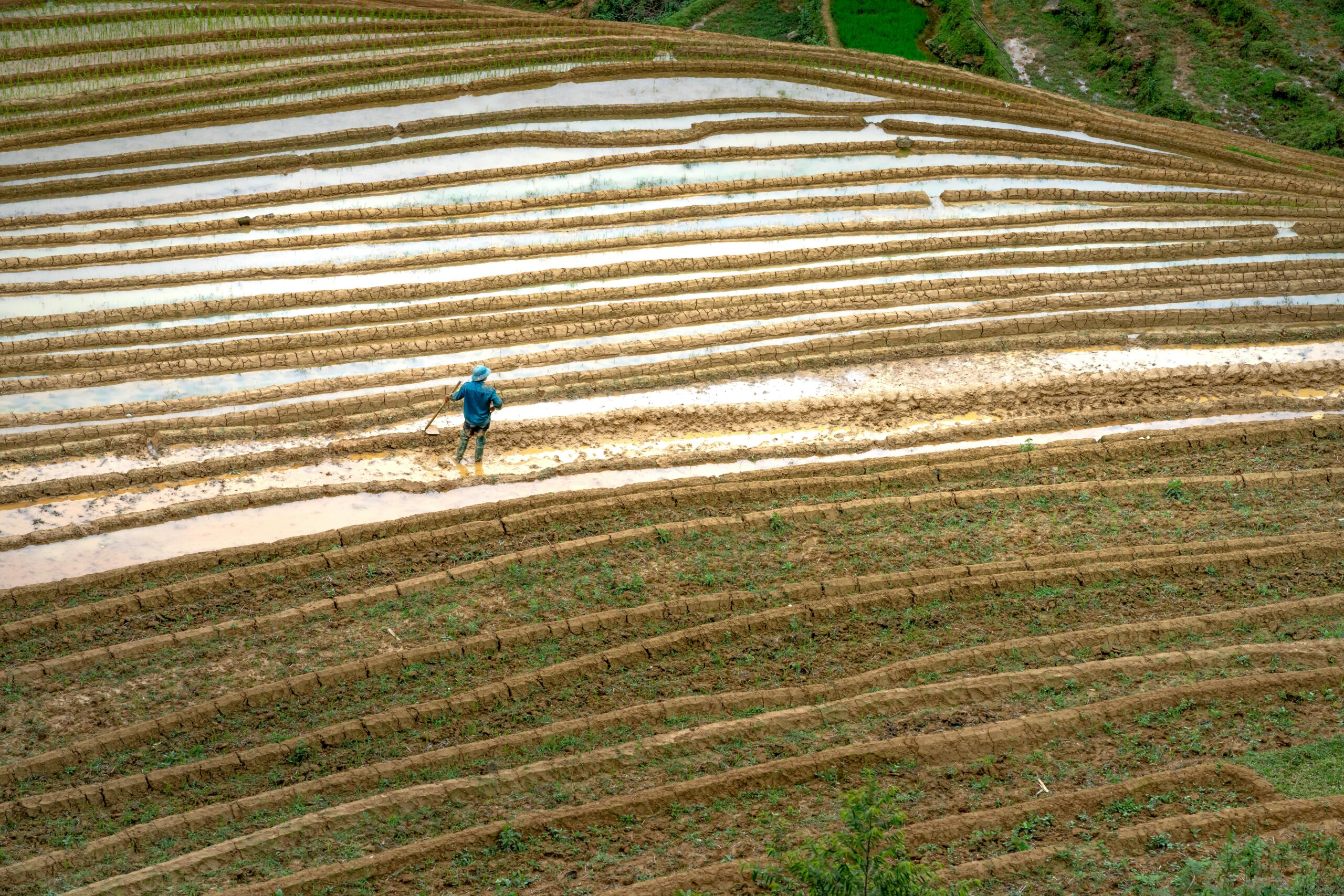 A farmer tends to terraced rice fields, showcasing traditional agriculture methods in Asia.