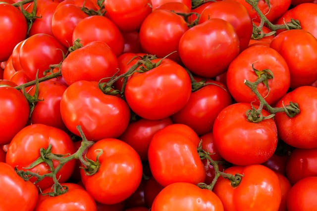 tomatoes farming in kenya